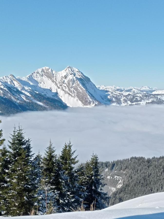 Landhaus Rosner Dorfgastein Dış mekan fotoğraf